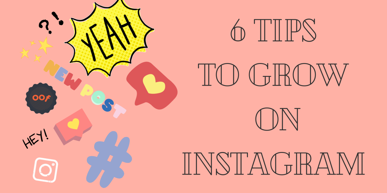 6 Tips to Develop Your Instagram Followers Rapidly in 2021