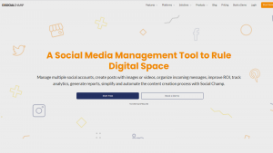 social-media-platform-management